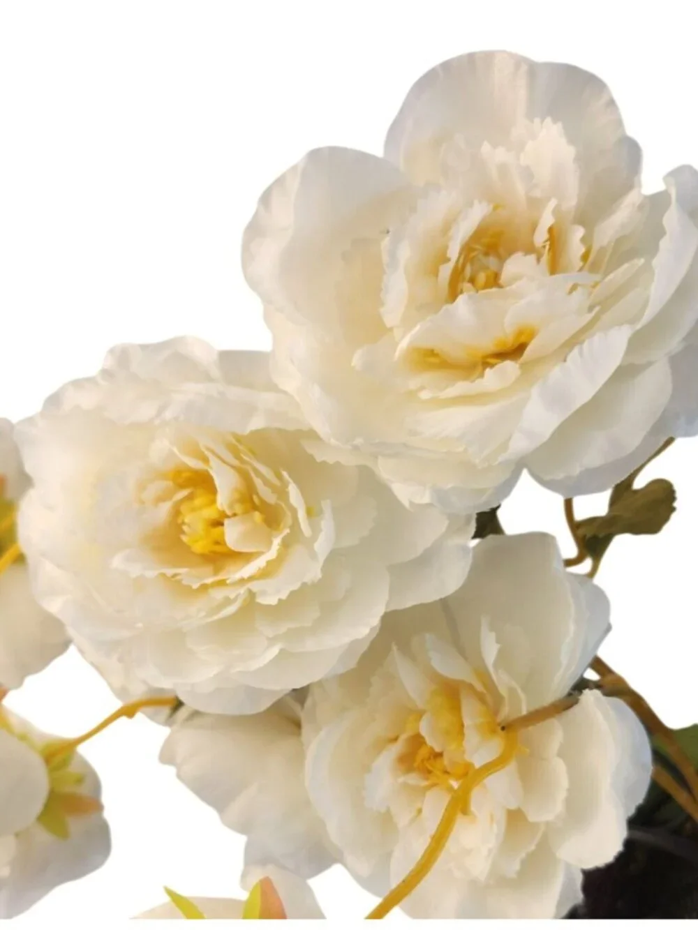 Cream Ranunculus Stems, Faux Ranunculus Flowers, Artificial Flowers, Ivory Flora